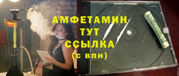 молекула духа Арсеньев
