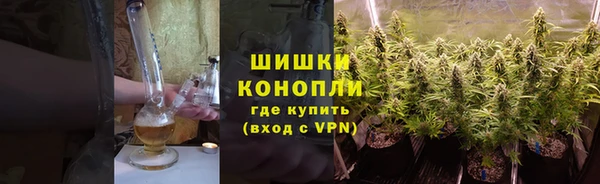 гашик Аркадак