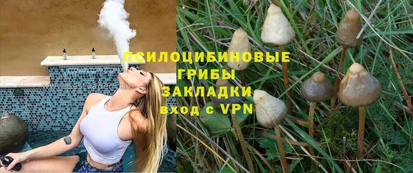 гашик Аркадак