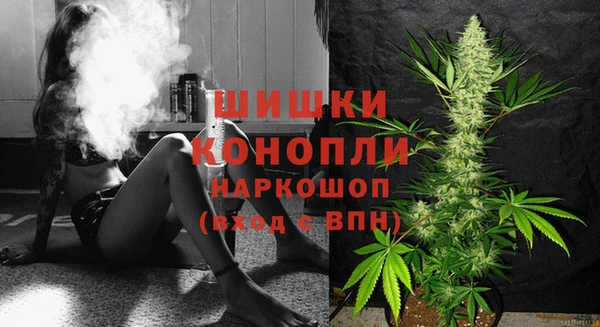молекула духа Арсеньев