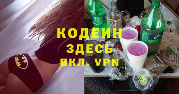 молекула духа Арсеньев