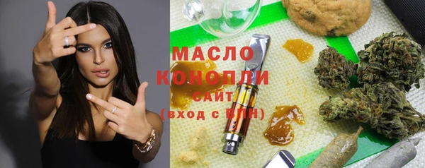 молекула духа Арсеньев