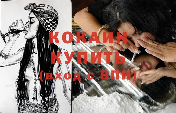 гашик Аркадак