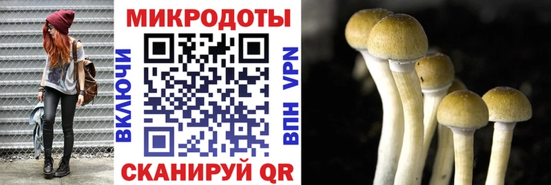 MEGA ССЫЛКА  Острогожск  Галлюциногенные грибы мицелий 